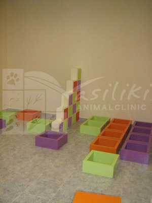 waiting area preparing6